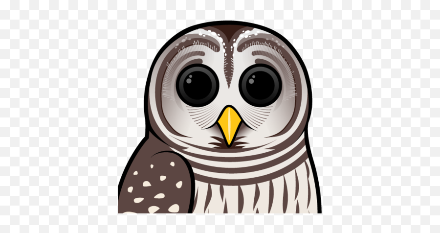Cute Barred Owl - Barred Owl Mask Emoji,Hoot Owl Emojis
