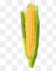 Pin - Corn Png Emoji,Corn Emoji