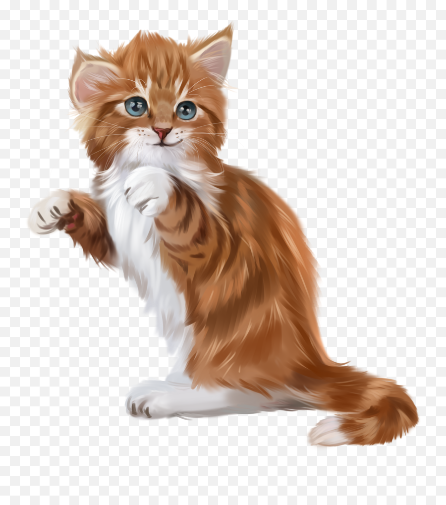 Description Kitten Images Animals Cats - Clip Art Emoji,Scottish Fold Smile Emoticon