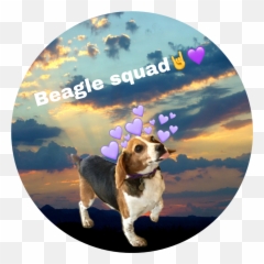 The Most Edited - Sunset Circle Shape Emoji,Vizsla Emoji