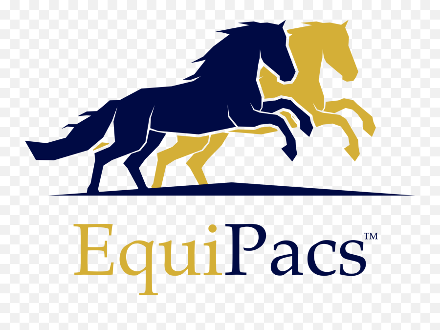 Equipacs - Horse Running Logo Emoji,Guess The Emoji Night Horse