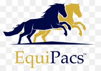 Equipacs - Horse Running Logo Emoji,Guess The Emoji Night Horse