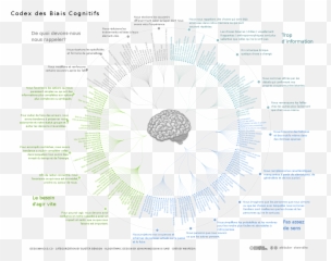Biais Cognitif Wikipédia - Cognitive Bias Codex French Emoji,Qu'est Ce Que Les Emotions En Psycho