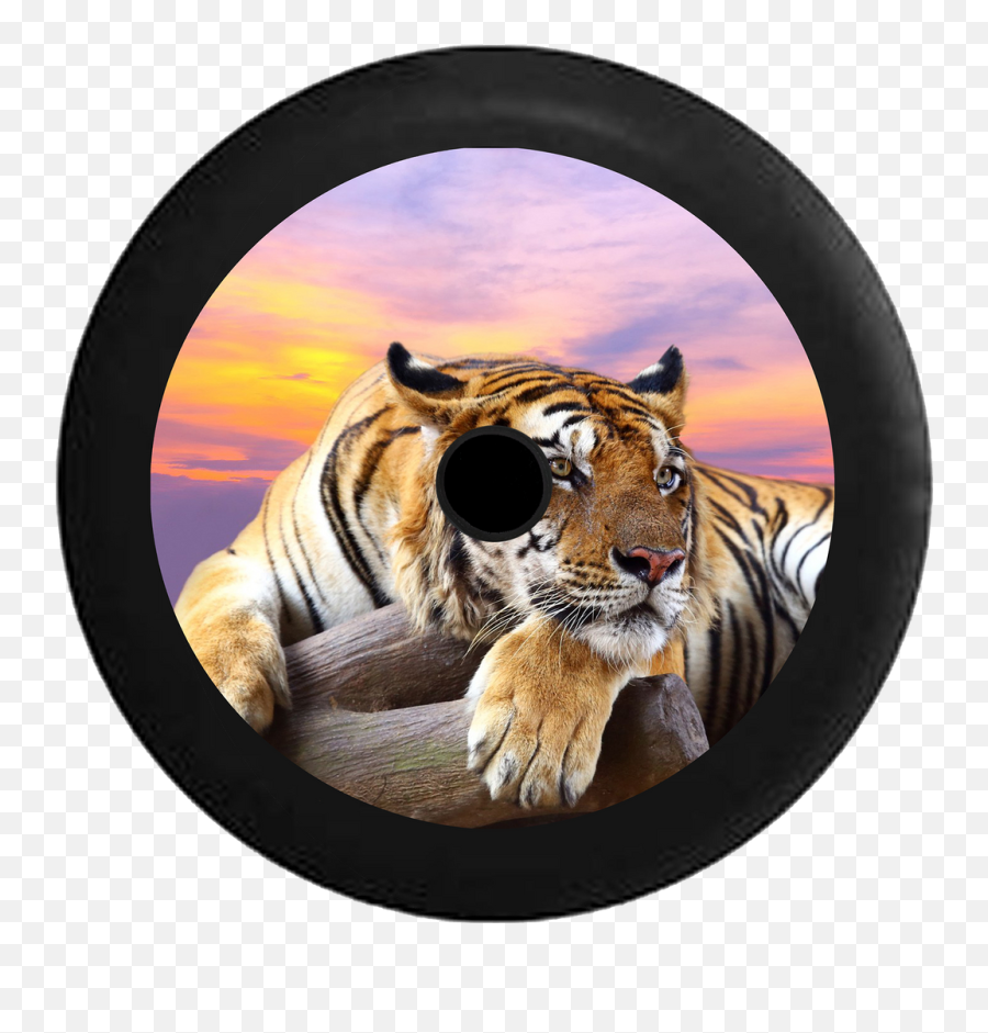Jl Hole Animal Tire Covers U2013 Page 2 U2013 Tirecoverpro Emoji,Bengal Tiger Emoji