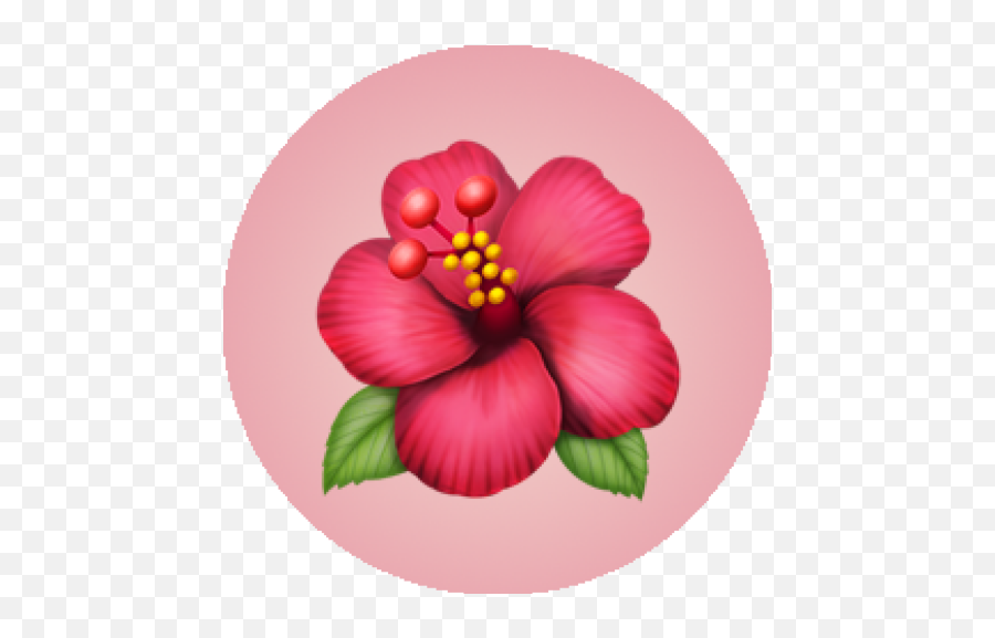 Keywordsanimals - Npm Search Emoji,Custom Plant Discord Emojis