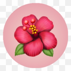 Keywordsanimals - Npm Search Emoji,Custom Plant Discord Emojis