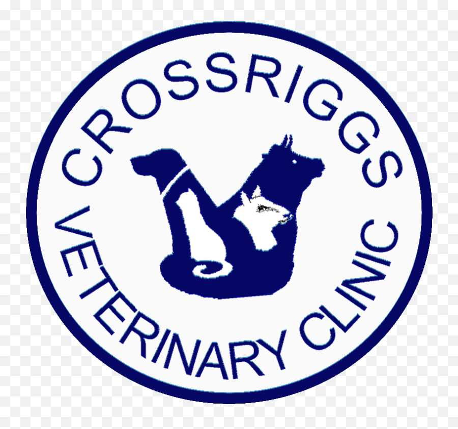 Dogs U2013 Crossriggs Veterinary Clinic - Language Emoji,Dog Ear Emotions