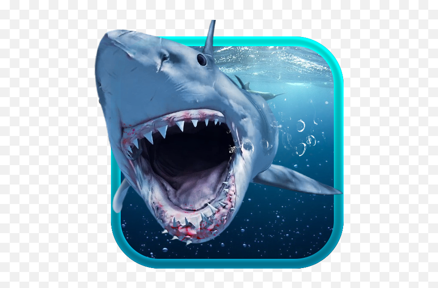 Shark Attack Animated Keyboard Live Wallpaper - App Su Shark Attack Animated Emoji,Shark Emoji