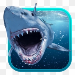 Shark Attack Animated Keyboard Live Wallpaper - App Su Shark Attack Animated Emoji,Shark Emoji