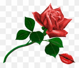 Imagens De Flores E Frutos - Transparent Background White Rose Clipart Emoji,Emoticons De Bebe Fazendo Biquinho