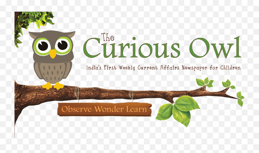 Write For Curious Owl Publish Your Creation In Best - Curious Owl Newspaper Emoji,Owl Emoticon Meaning