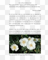 Pdf Rosa Spinosissima - Aspects Of Its Natural History And Emoji,Deep Emotions Roses