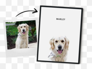 Pin On Hundefoto - West And Willow Pet Portraits Emoji,Bbc Dogs Emotions