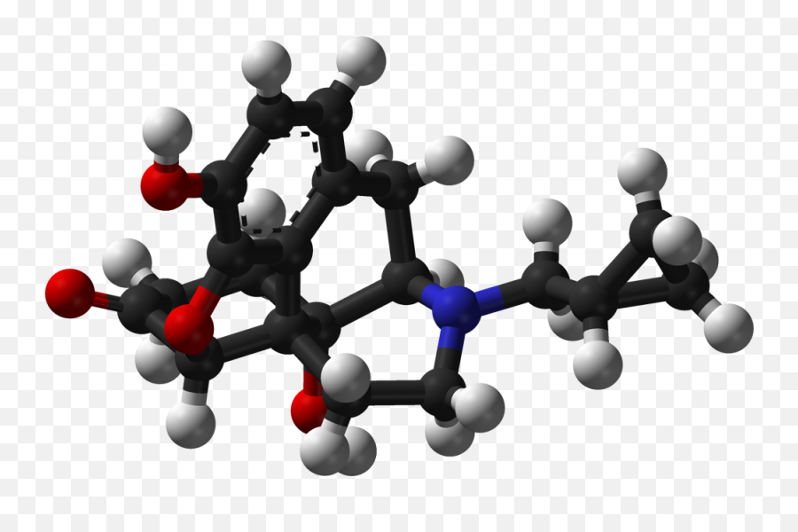 Drug Addiction Social Connection And The Brain - Promise Of Low Dose Naltrexone Therapy Emoji,Science Acitivty For Emotions Or Feeling