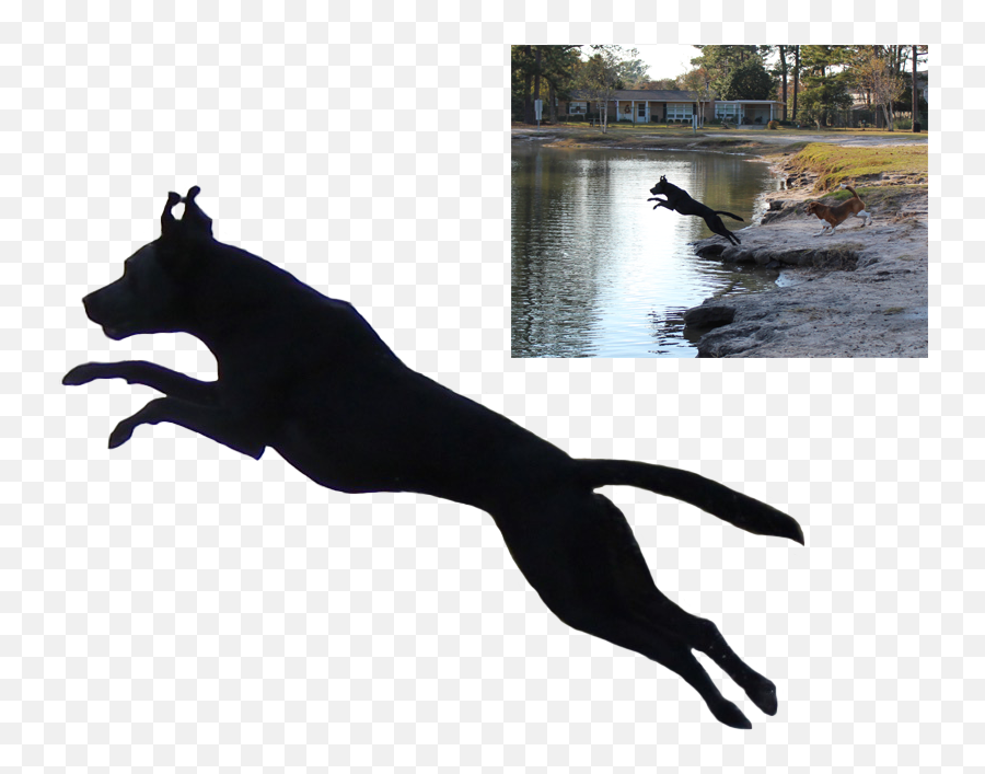 Labrador Retriever Cougar American Pit - Transparent Dog Jump Silhouette Emoji,Dog Ptbull Emojis