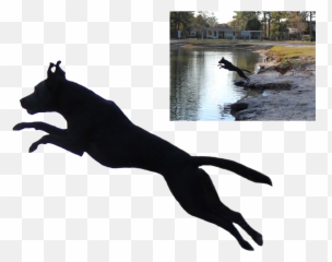 Labrador Retriever Cougar American Pit - Transparent Dog Jump Silhouette Emoji,Dog Ptbull Emojis