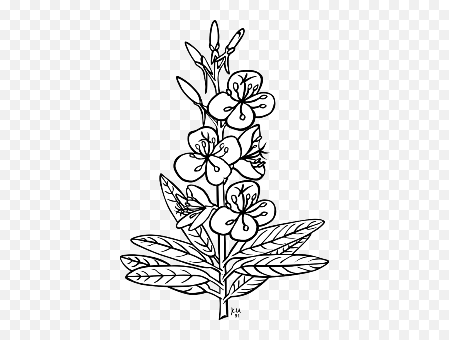 Fireweed Plant Png Svg Clip Art For Web - Download Clip Art Emoji,Plant Emoji Black And White