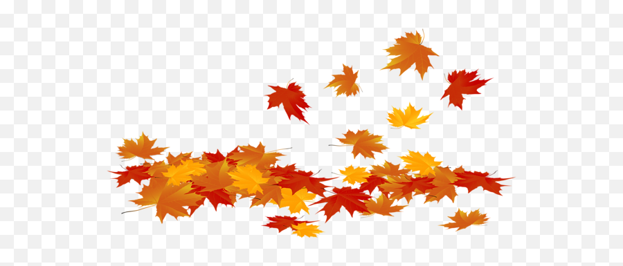 Eemput Fallen Autumn Sticker By Eemput - Transparent Background Fall Leaves Clipart Emoji,Fallen Leaves Emoji