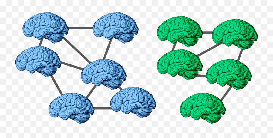Research Csnl - Social Neuroscience Emoji,Emotion Brain Ancient