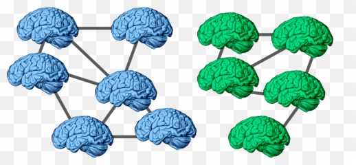 Research Csnl - Social Neuroscience Emoji,Emotion Brain Ancient