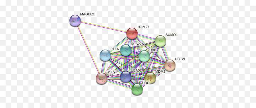 Trim27 Protein - Dot Emoji,T Cell Activtion Emotion