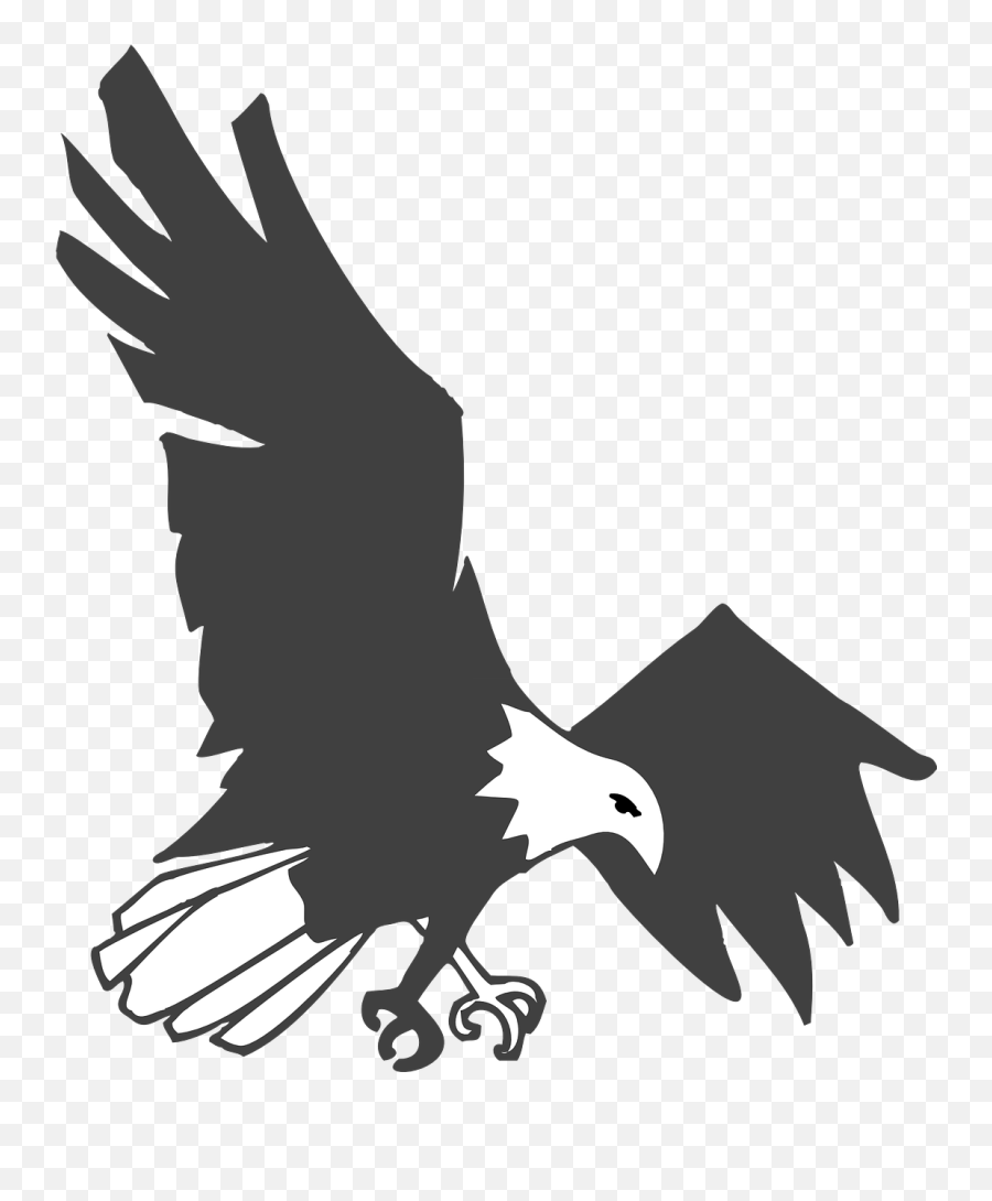 Httpswwwpicpngcomwhite - Birdduckwingslandingpng Emoji,Polish Eagle Emoji