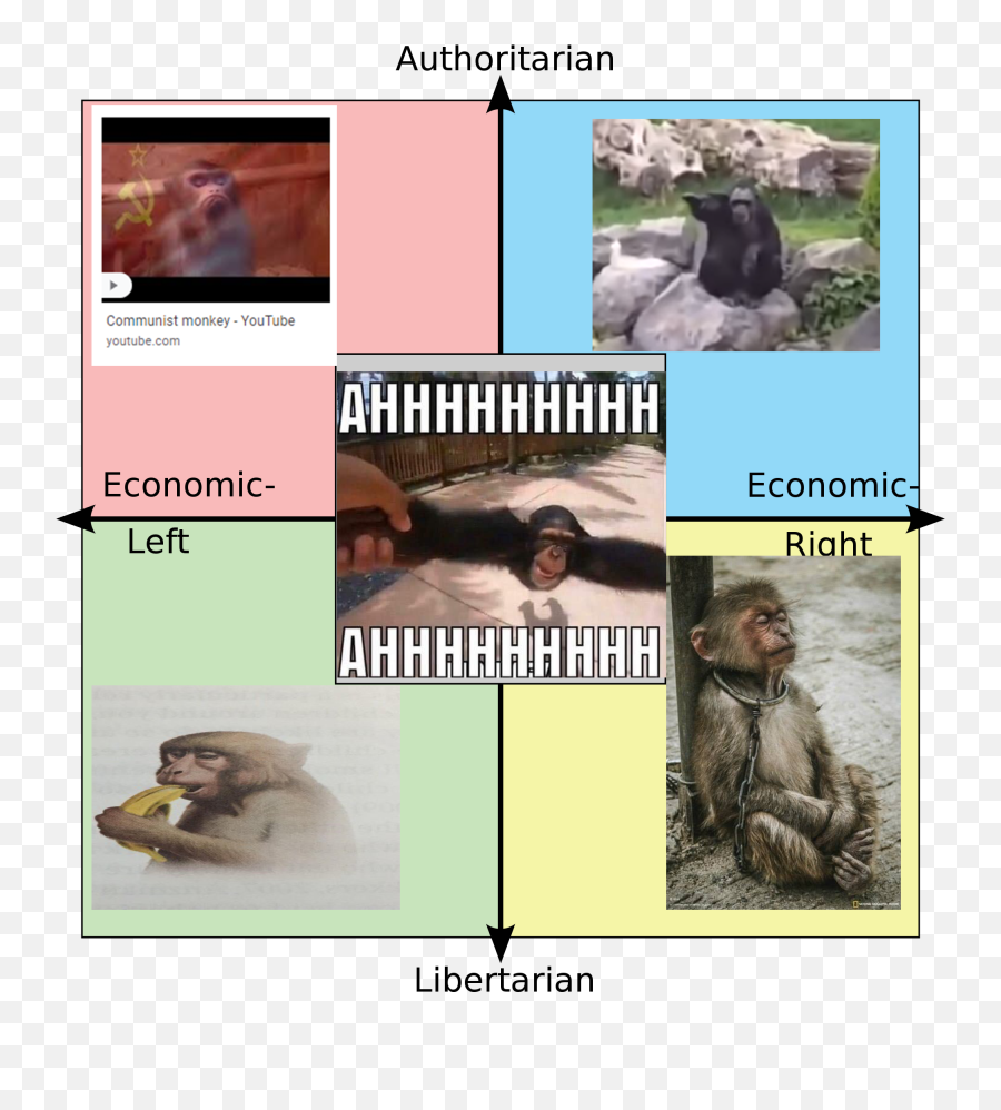 Le Monk Coalition Rpoliticalcompassmemes Political - Woodrow Wilson Political Compass Emoji,Emotions Of A White-faced Capuchin Monkey