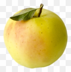 Our Lovely Apples Champlain Orchards Emoji,Emoji Apple Pomme