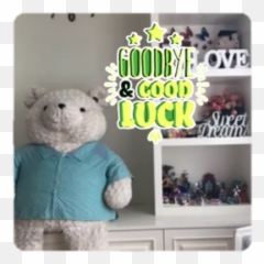 Animals Paco Kay By Kay - Sticker Maker For Whatsapp Emoji,Goodbye Emoticon Bear