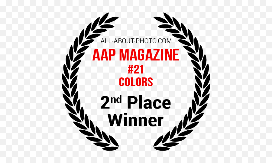 Colors Photography Contest 2021 - All About Photo Competitions Emoji,Work Emotion Colors