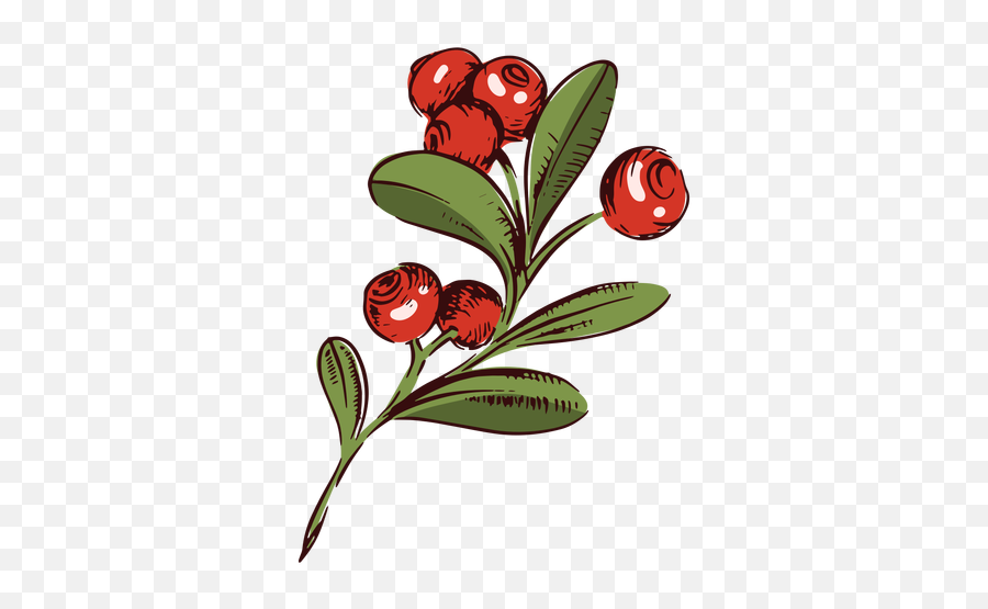 Cranberry Vector U0026 Templates Ai Png Svg Emoji,Cranberry Emoji