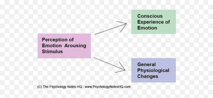 Cannon - Cannon Bard Theory Psychology Definition Emoji,James Lange Theory Of Emotion