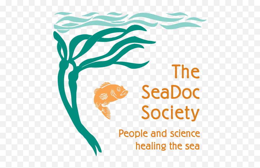 Is Southern Resident Killer Whale J35 - Seadoc Society Emoji,Orcas Brain Emotions