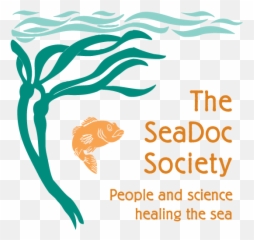 Is Southern Resident Killer Whale J35 - Seadoc Society Emoji,Orcas Brain Emotions