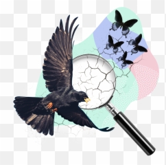 The Wattys - Wattpadu0027s Writing Awards Crows Emoji,Dirty Computer Emotion Picture Awards