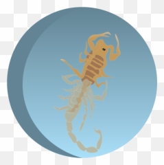 Blog U2013 Nonna Terra - Scorpion Emoji,All Lantern Corp Emotions