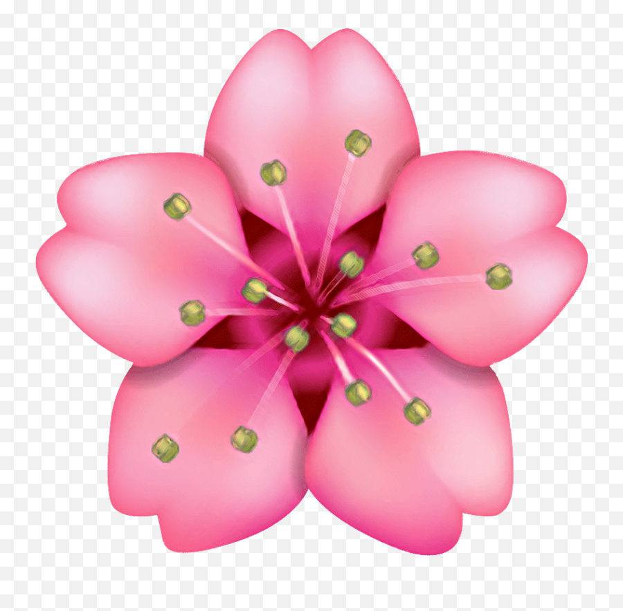 Belle De Jour - Whatsapp Pink Flower Emoji,Wailing Emoji Wretched Emoji