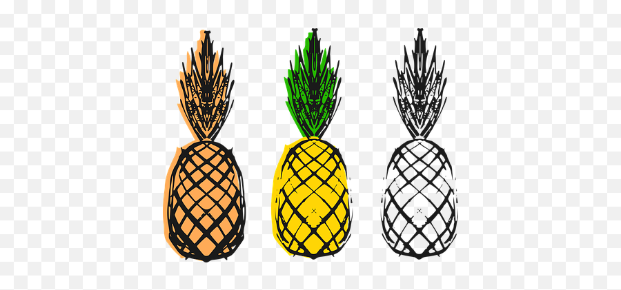 10 Free Abacaxi U0026 Pineapple Vectors - Pixabay Diseño De Piña Png Emoji,Pineapple Pizza Emoticon