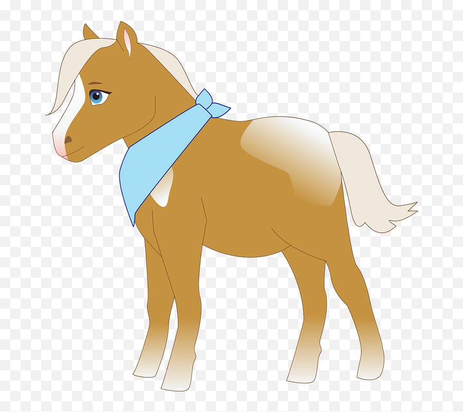 Free Photo Mane Foal Pony Equestrian Country Animal Horse - Horse Supplies Emoji,Pony Emotion Chart
