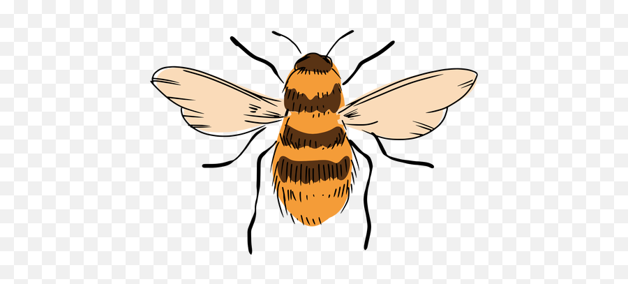 Bee Hive Cut Out Transparent Png Svg - Parasitism Emoji,Hi Res Bee Emojis