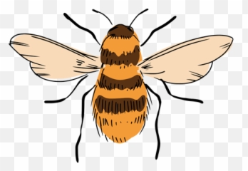 Bee Hive Cut Out Transparent Png Svg - Parasitism Emoji,Hi Res Bee Emojis