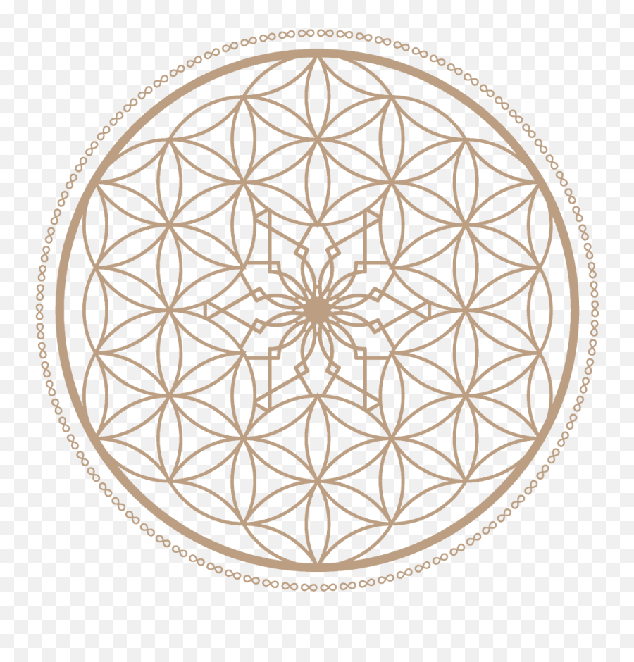 580 For Mark Ideas In 2021 Healing Books Narcisist - Flower Of Life Emoji,Lisy Of Emotions