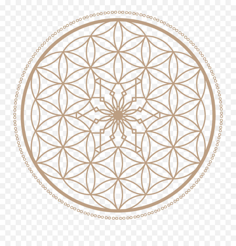 580 For Mark Ideas In 2021 Healing Books Narcisist - Flower Of Life Emoji,Lisy Of Emotions 580 For Mark Ideas In 2021 Healing Books Narcisist - Flower Of Life Emoji,Lisy Of Emotions