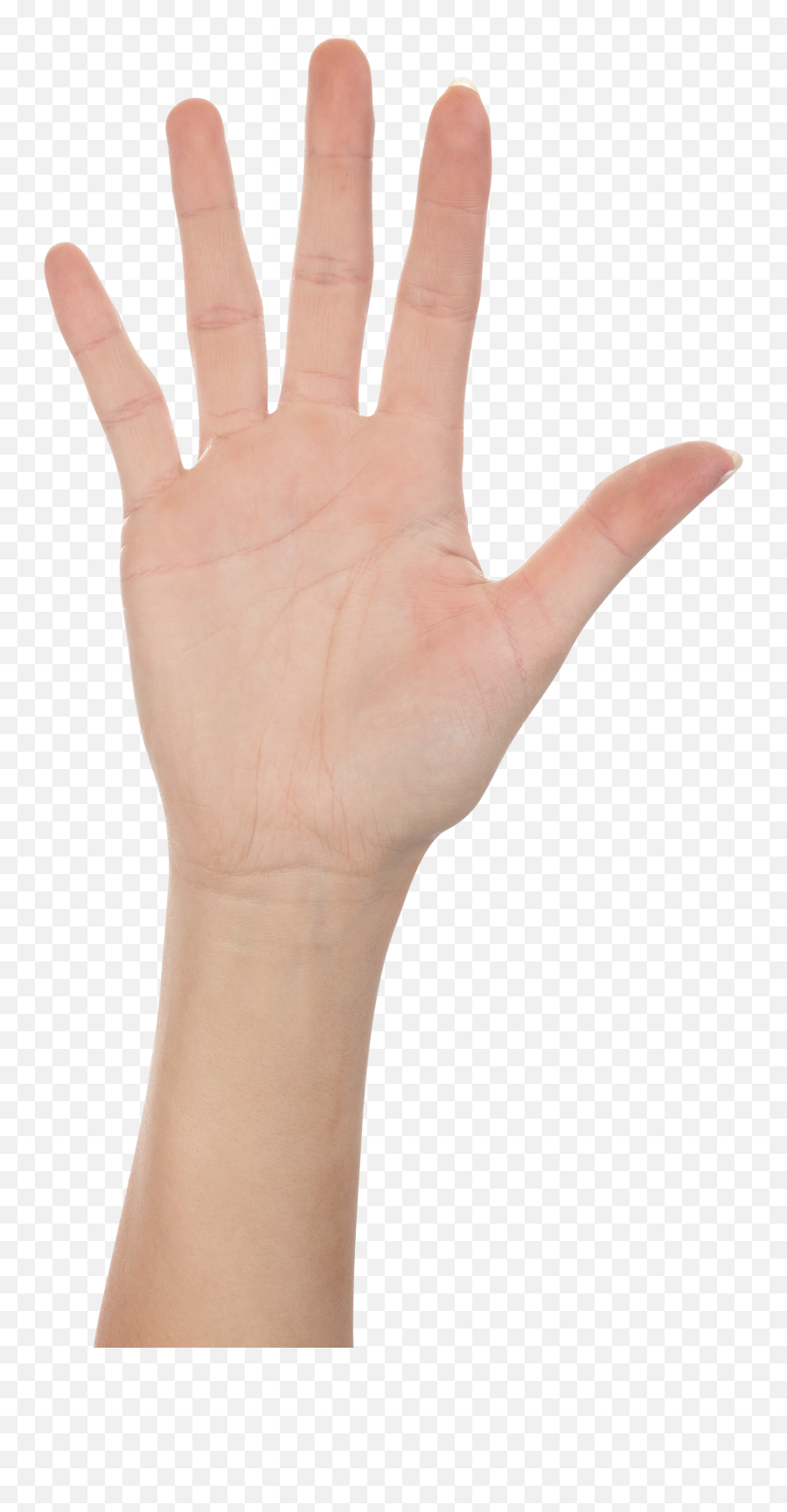 Talk To The Hand - High Five Hand Png Emoji,Talk To The Hand Emoji