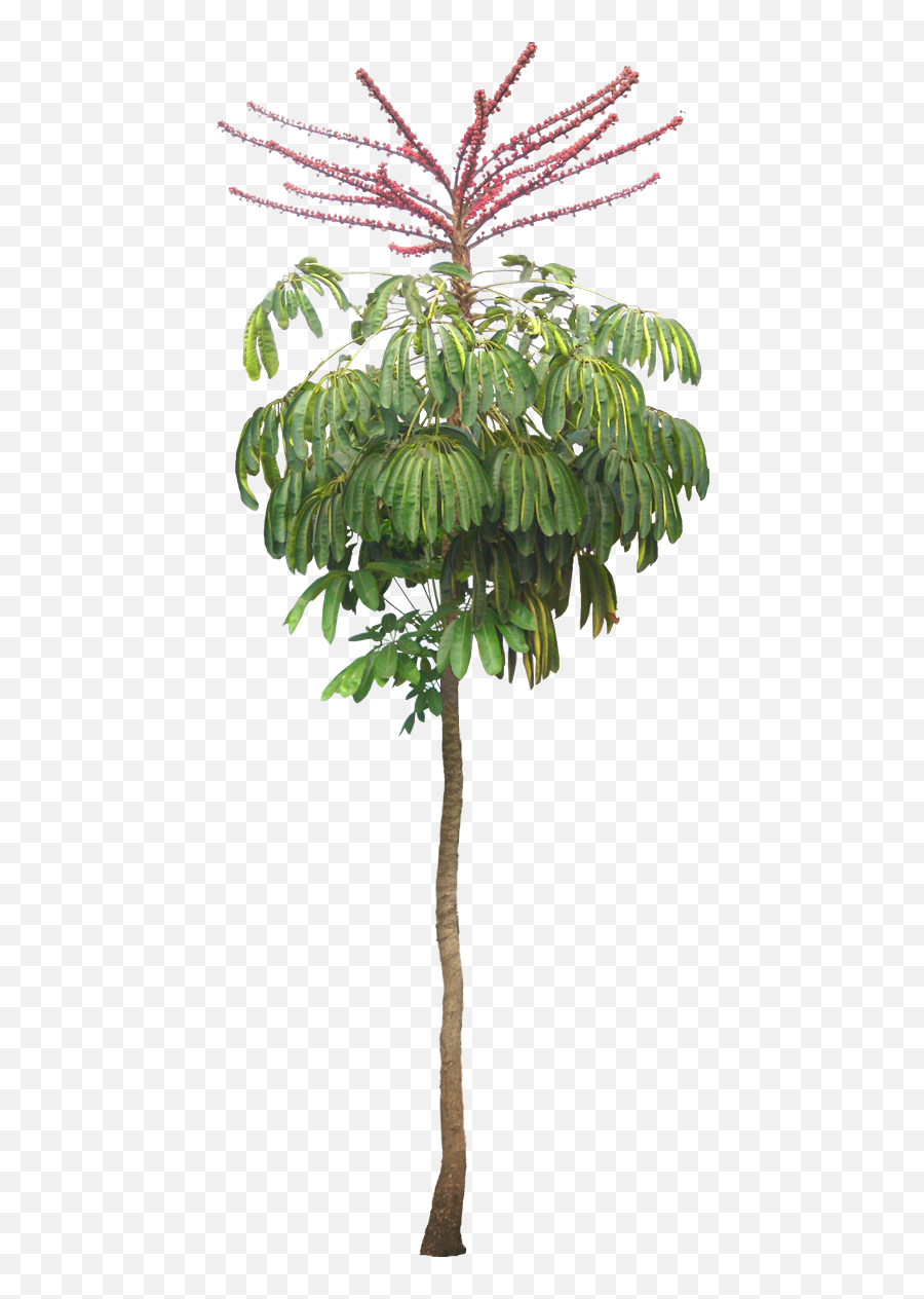 Plants Are The Strangest People Incredible Hulk Schefflera Emoji,Steven Seagals Emotions