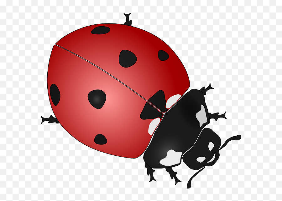 Free Photo Scythe Ladybug Cute Grinning Death Grim Reaper Emoji,You've Had Enough Emotions Today Ladybug