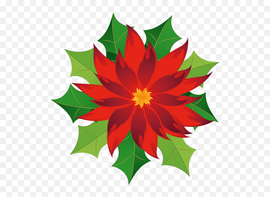 Christmas Holly Poinsettia Sticker - Christmas Flower Clipart Png Emoji,Poinsettia Emoji