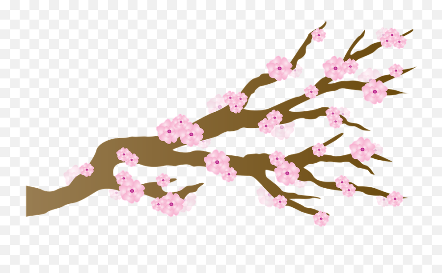 Japanese Flowering Cherry Png Hd Png Svg Clip Art For Web - Png Japanese Sakura Emoji,Cherry Flower Japan Emoji