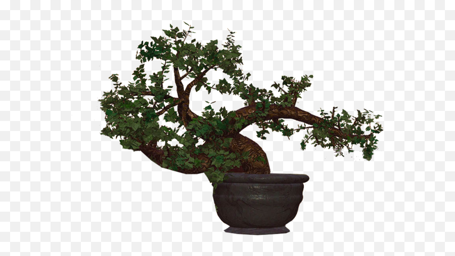 Bonsai - Bonsai Tree Emoji,Bonsai Emoji