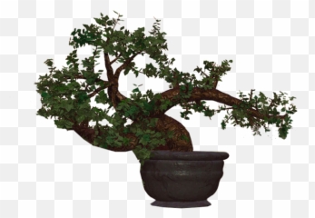 Bonsai - Bonsai Tree Emoji,Bonsai Emoji